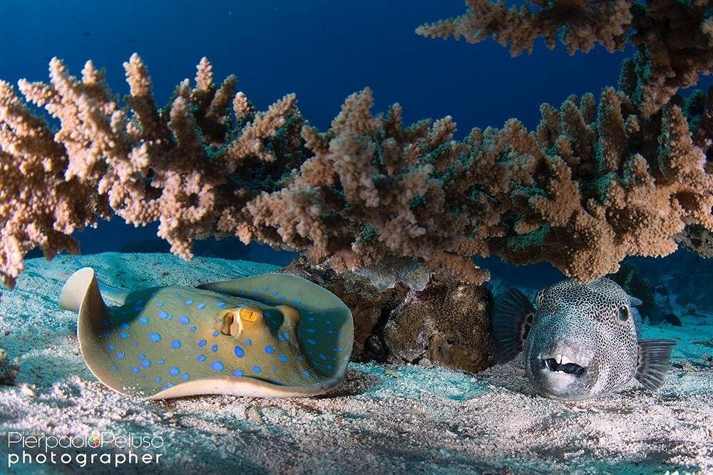 hashtag tour gallery Image